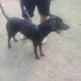 Spike