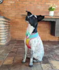 Jolie