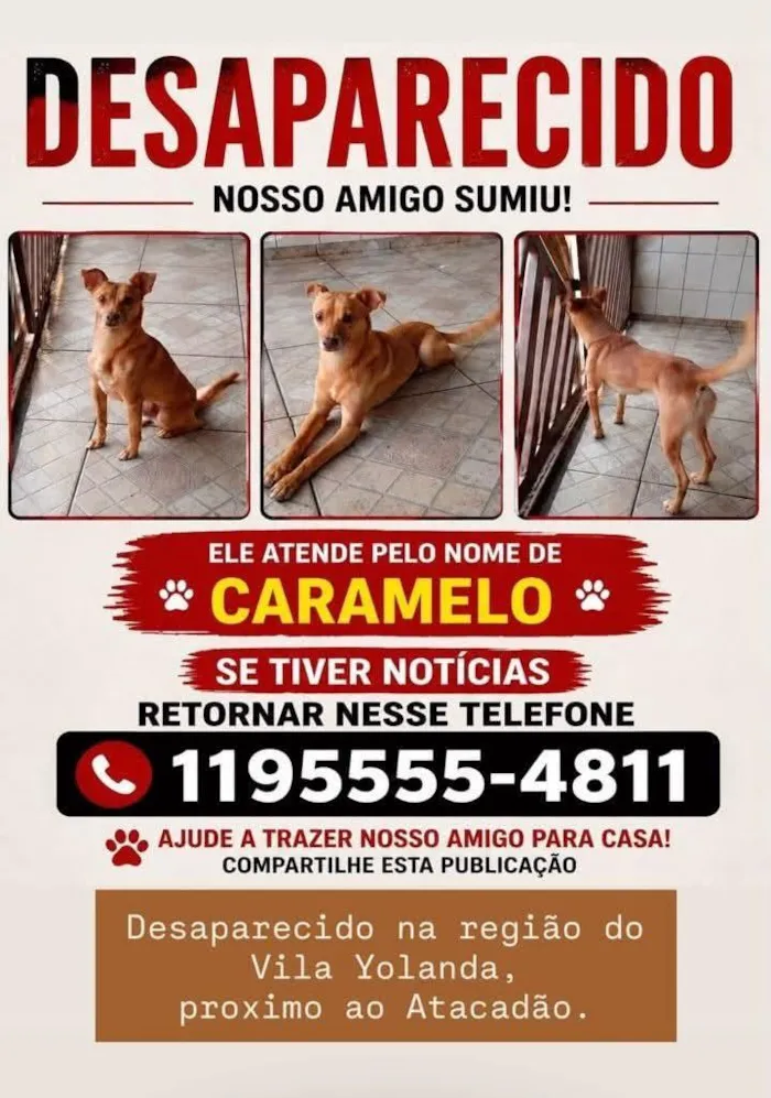 Cachorro raça SRD-ViraLata idade 6 ou mais anos nome Caramelo