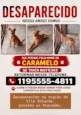 Caramelo
