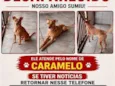 Caramelo