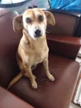 Lili