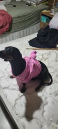 Skye