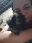 Neguinho