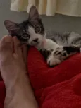 Nina