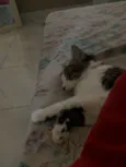 Nina
