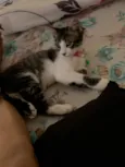Nina