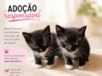Gatinhos 