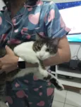Dexter