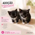 Oreo e Pipoca
