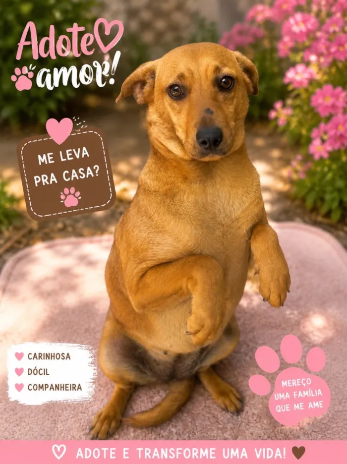Cachorro raça SRD-ViraLata idade 2 a 6 meses nome Lana