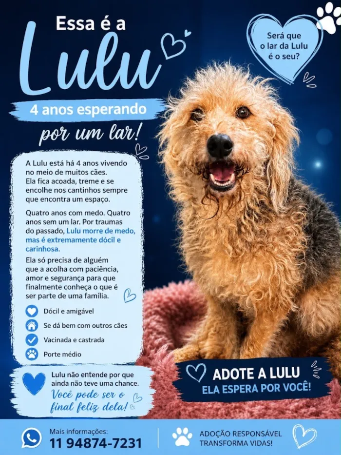Cachorro raça SRD-ViraLata idade 4 anos nome Lulu