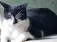 Chloe