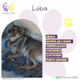 Loba