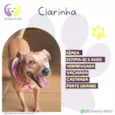 Clarinha