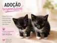Oreo e Pipoca