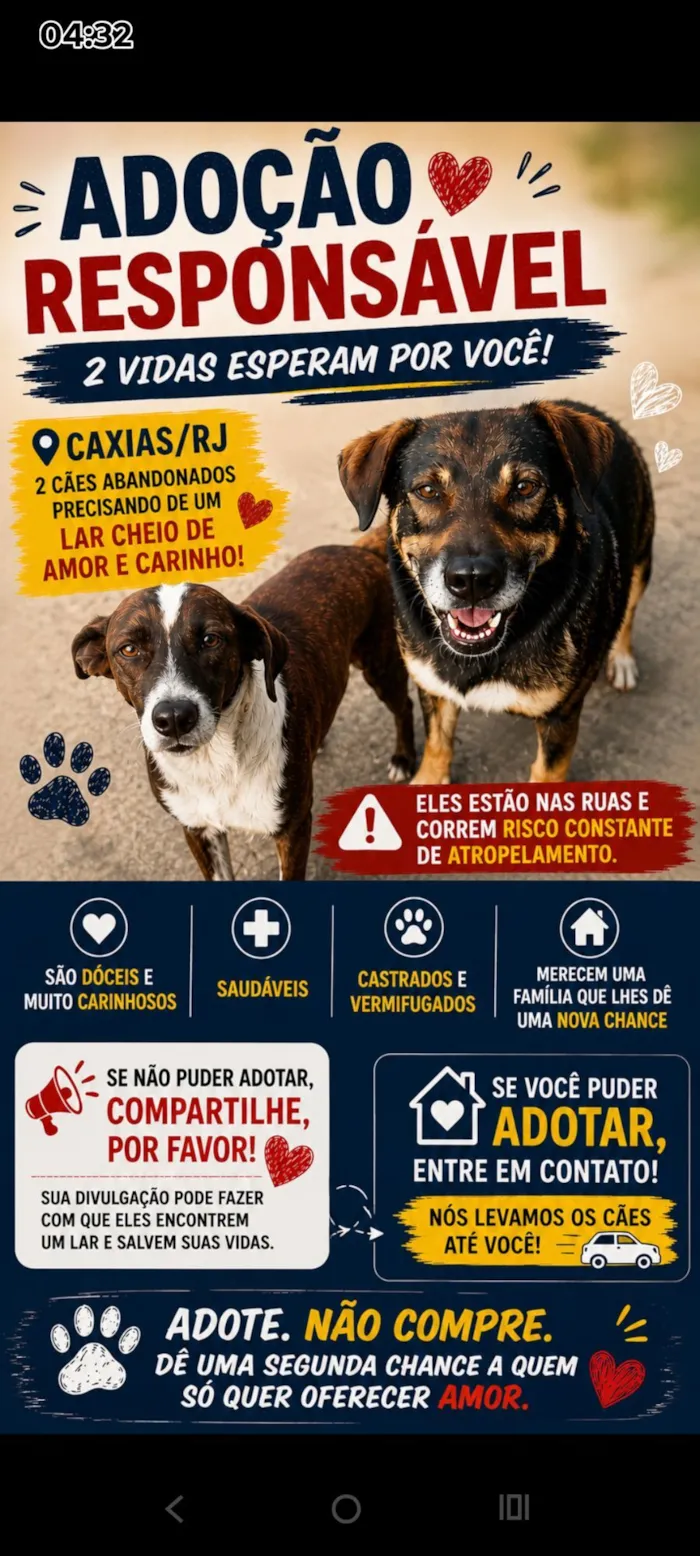 Cachorro raça SRD-ViraLata idade 1 ano nome Marronzinhos