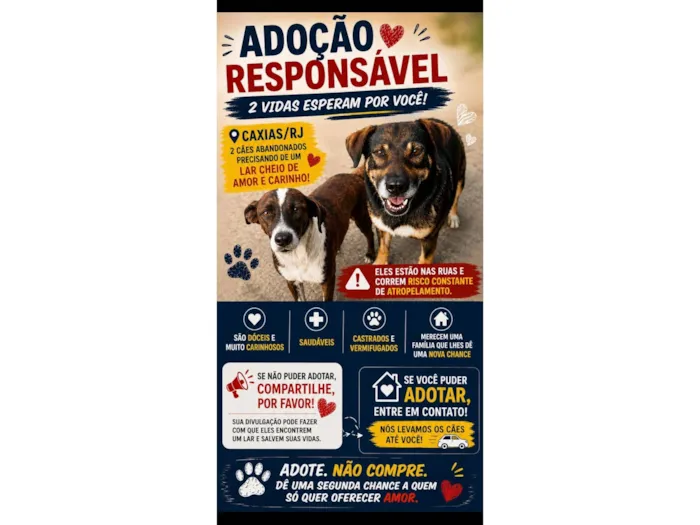 Cachorro raça SRD-ViraLata idade 1 ano nome Marronzinhos