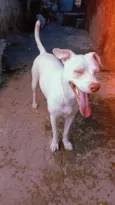 PRINCESA