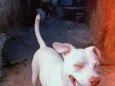 PRINCESA 