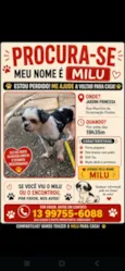 Milu