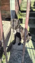 Zeus