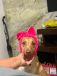Mel