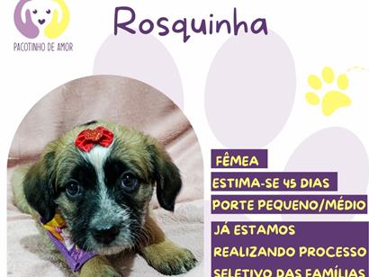 Rosquinha - São Paulo