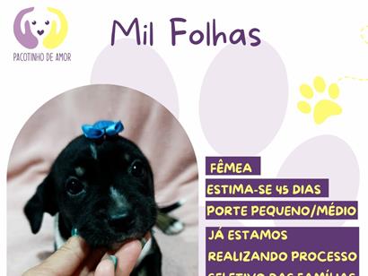 Mil Folhas - São Paulo