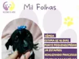 Mil Folhas