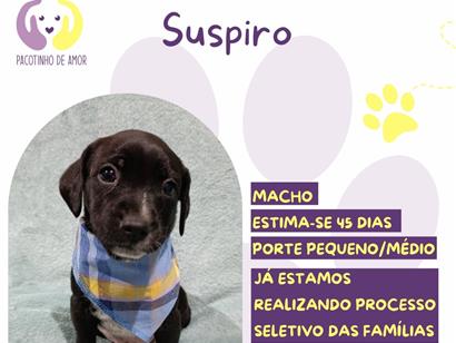 Suspiro - São Paulo