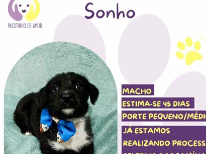 Sonho - São Paulo