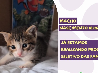 Marlin - São Paulo