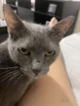Nina