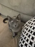 Nina