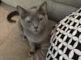 Nina