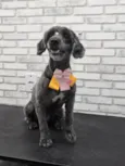 Lua