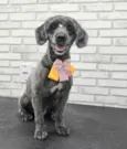 Lua