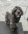 Lua