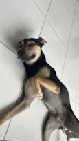 Zé
