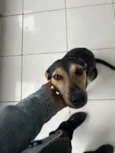 Zé