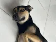 Zé