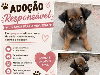 Cachorro raça SRD-ViraLata idade 2 a 6 meses nome Lulu