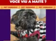 Maitê