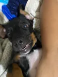 Tobby