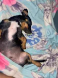 Tobby
