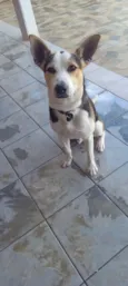 Ben