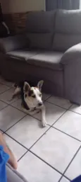 Ben