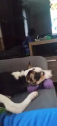 Ben