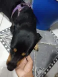 não sei 